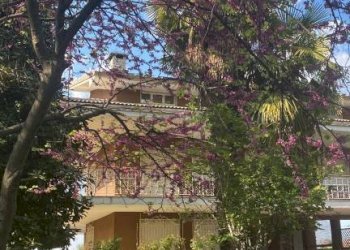 Giardino - Trilocale via Circonvallazione Vigne, 14, Chiusa di Pesio - foto 2