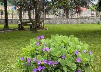 Giardino - Trilocale via Circonvallazione Vigne, 14, Chiusa di Pesio - foto 11