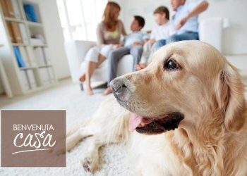 Bilocale Via Gadames, Rimini - foto 19