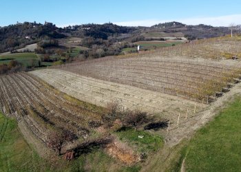 Casale via Chivasso, 75, Castelnuovo Don Bosco - foto 29