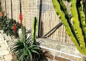 Quadrilocale Montalto di Castro - foto 4