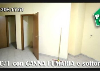 Dettagli - Shop via di Casal Morena, 68, Roma - photo 10