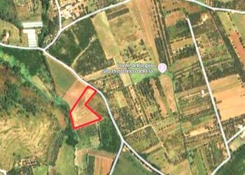 Agricultural land Mondragone - photo 1