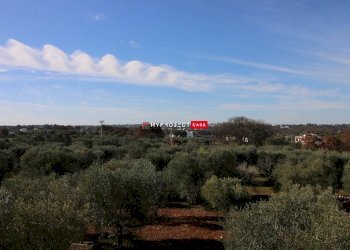 Rustico C.da Specchia, Cisternino - foto 9