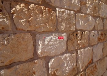 Rustico C.da Specchia, Cisternino - foto 13