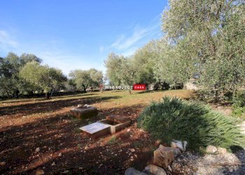 Rustico C.da Specchia, Cisternino - foto 38