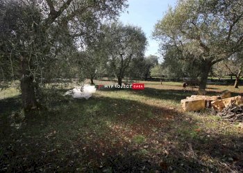 Rustico C.da Specchia, Cisternino - foto 39