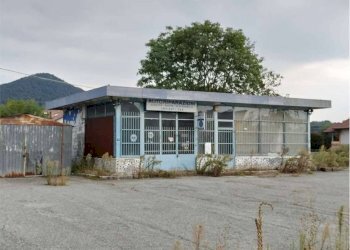 Terreno - Negozio strada provinciale Lanzo Torino, 50, Balangero - foto 5