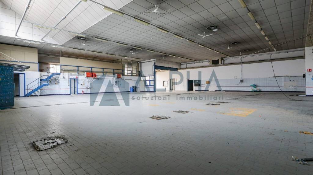 Interno non residenziale - Shop viale Giacomo Matteotti, Forlì - photo 1