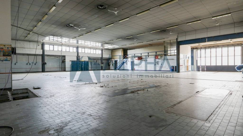 Interno non residenziale - Negozio viale Giacomo Matteotti, Forlì - foto 3
