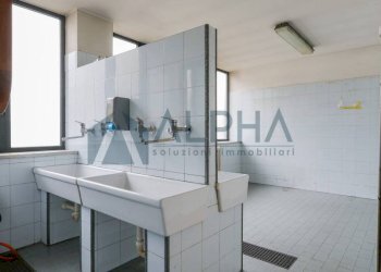 Bagno - Negozio viale Giacomo Matteotti, Forlì - foto 11