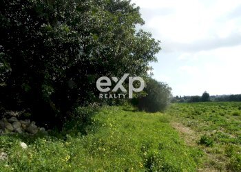 Villa contrada salmeci, Ispica - photo 31