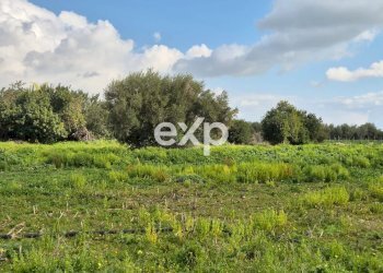 Villa contrada salmeci, Ispica - foto 9