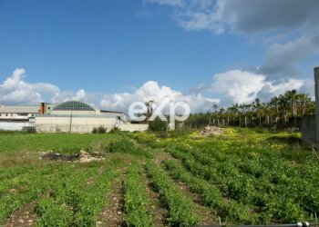 Villa contrada salmeci, Ispica - foto 16