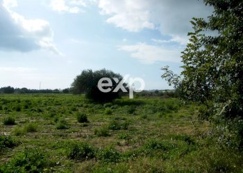 Villa contrada salmeci, Ispica - foto 30