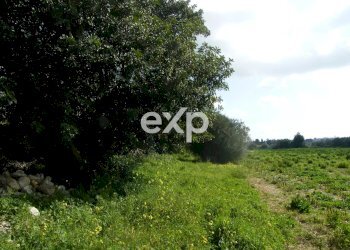 Villa contrada salmeci, Ispica - foto 31