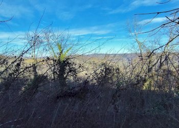 Casale Castellino Tanaro - foto 14