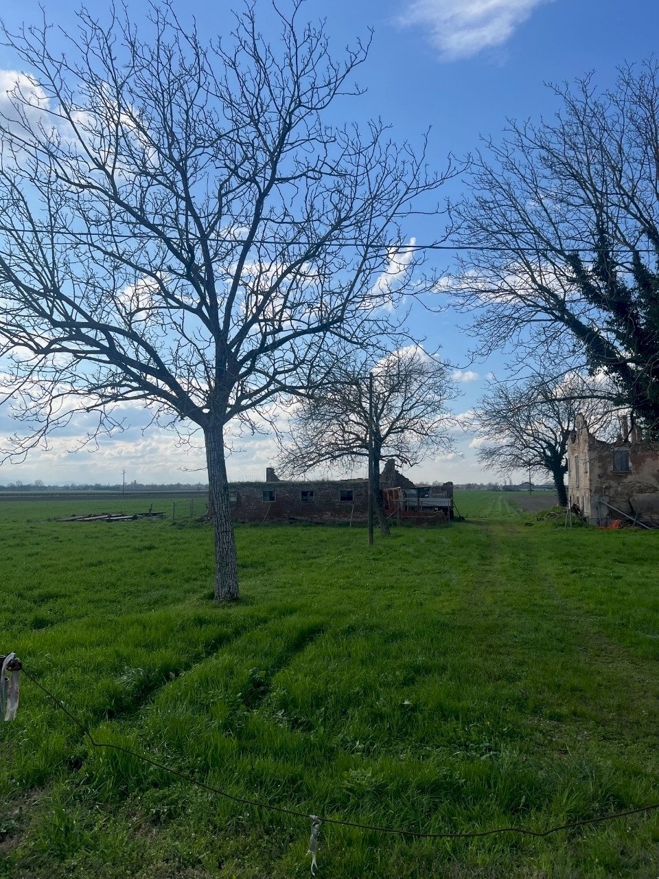 Rustico Cadelbosco di Sopra - foto 2