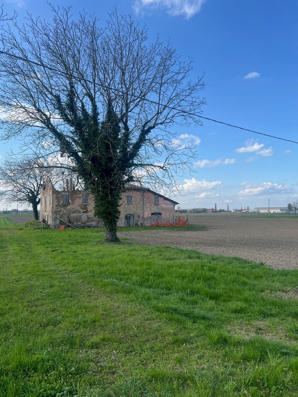 Rustico Cadelbosco di Sopra - foto 3