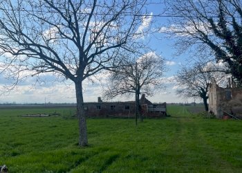 Rustico Cadelbosco di Sopra - foto 2
