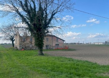 Rustico Cadelbosco di Sopra - foto 3