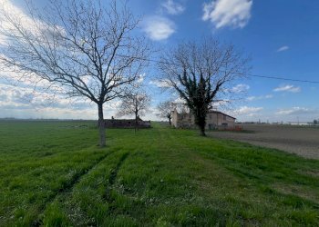 Rustico Cadelbosco di Sopra - foto 4