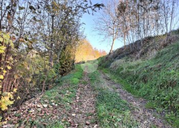 Terreno agricolo Frazione San Lorenzo, Fossano - foto 5