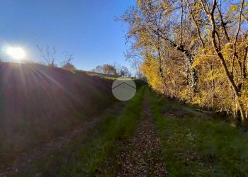 Terreno agricolo Frazione San Lorenzo, Fossano - foto 6