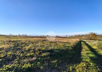 Terreno agricolo Frazione San Lorenzo, Fossano - foto 7