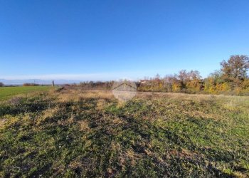Terreno agricolo Frazione San Lorenzo, Fossano - foto 8