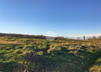 Terreno agricolo Frazione San Lorenzo, Fossano - foto 11