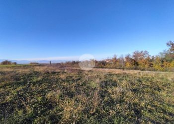 Terreno agricolo Frazione San Lorenzo, Fossano - foto 14