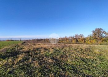 Terreno agricolo Frazione San Lorenzo, Fossano - foto 15