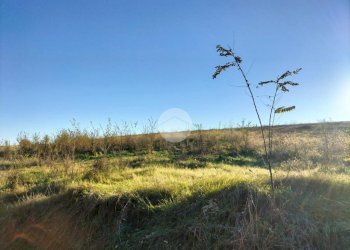 Terreno agricolo Frazione San Lorenzo, Fossano - foto 16