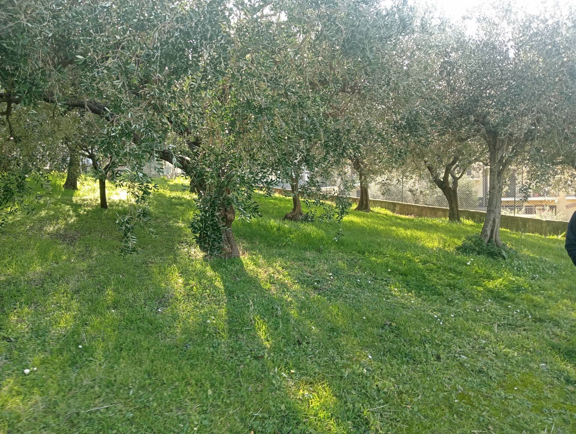 Terreno edificabile casette torresi, Potenza Picena - foto 2