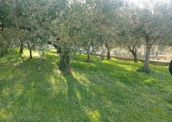 Terreno edificabile casette torresi, Potenza Picena - foto 2