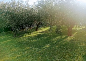 Terreno edificabile casette torresi, Potenza Picena - foto 4