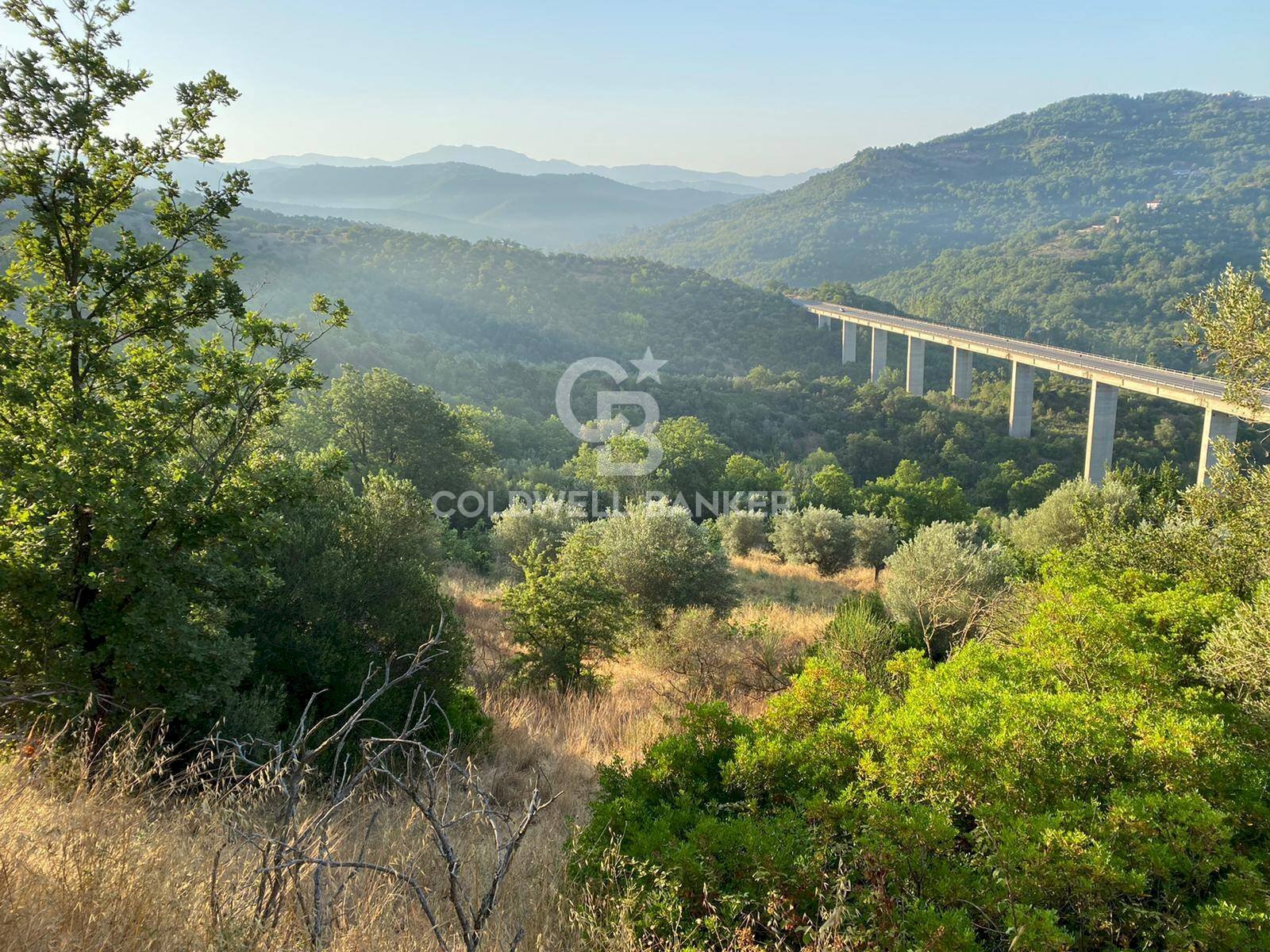 Rustico strada provinciale ss18, Prignano Cilento - foto 3