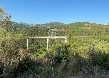 Rustico strada provinciale ss18, Prignano Cilento - foto 2