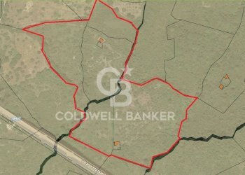 Rustico strada provinciale ss18, Prignano Cilento - foto 6