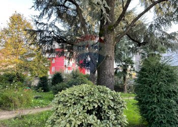 Single Family Villa Treviglio - photo 12