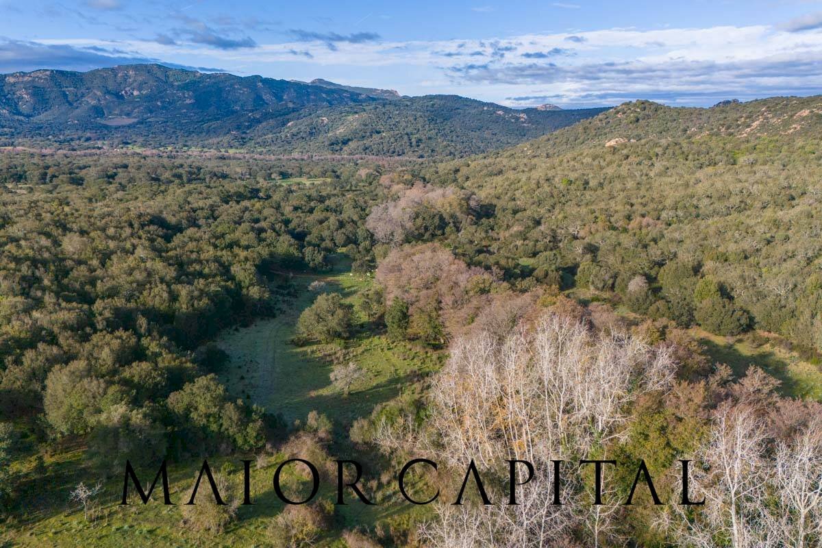Terreno agricolo SP110, Padru - foto 1