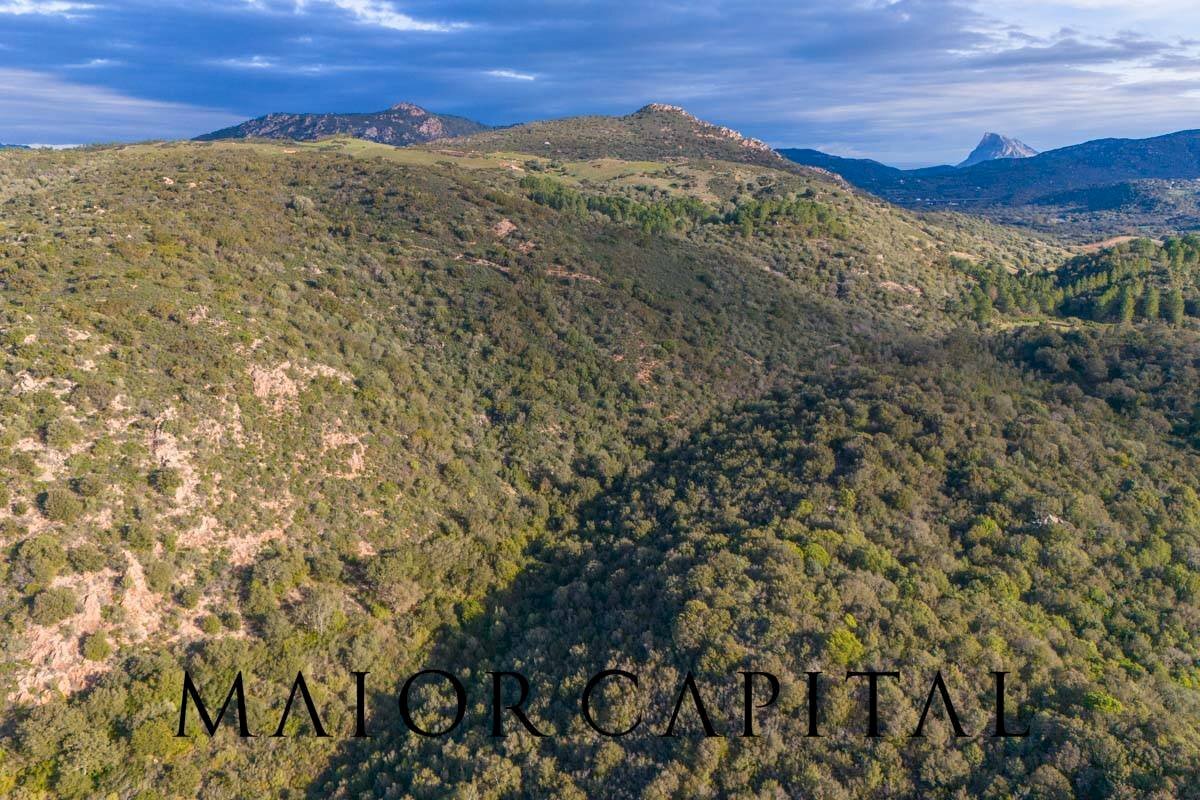 Terreno agricolo SP110, Padru - foto 3