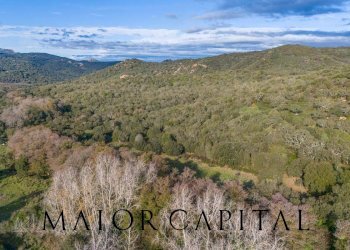 Terreno agricolo SP110, Padru - foto 7