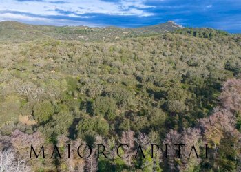 Terreno agricolo SP110, Padru - foto 8