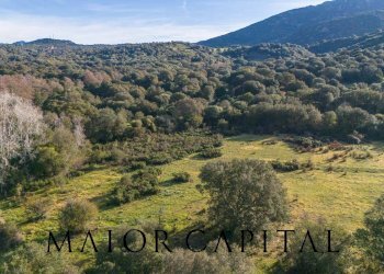 Terreno agricolo SP110, Padru - foto 9