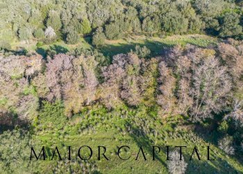 Terreno agricolo SP110, Padru - foto 12