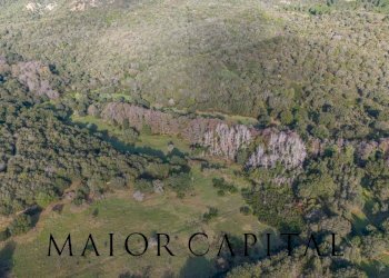 Terreno agricolo SP110, Padru - foto 13