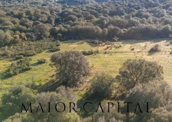 Terreno agricolo SP110, Padru - foto 14