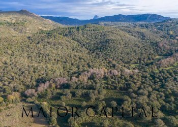 Terreno agricolo SP110, Padru - foto 17